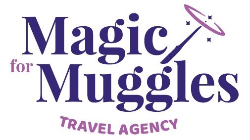 Magic for Muggles